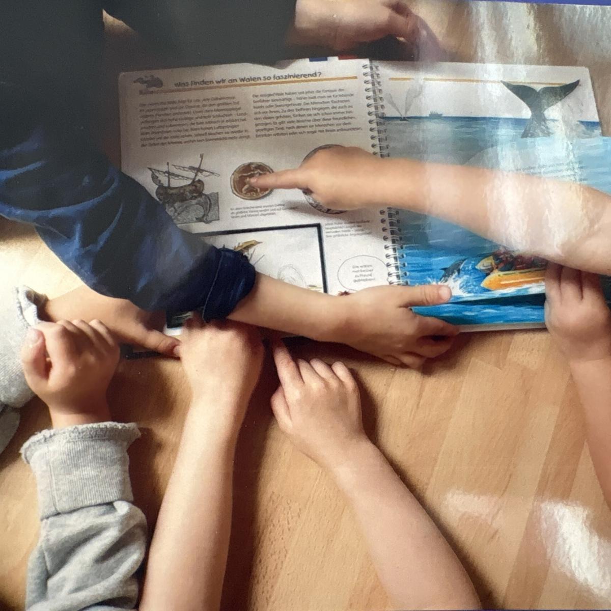 Bilder vom Projekt Kleine Meeresforscher im Katholischen  Kindergarten St. Mariä Himmelfahrt