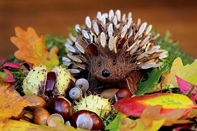 Igel aus Naturmaterialien in bunten Laub (c) Christiane, Pixabay Igel aus Naturmaterialien in bunten Laub