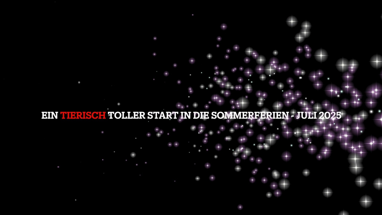 2025-07_Ferien zu Hause