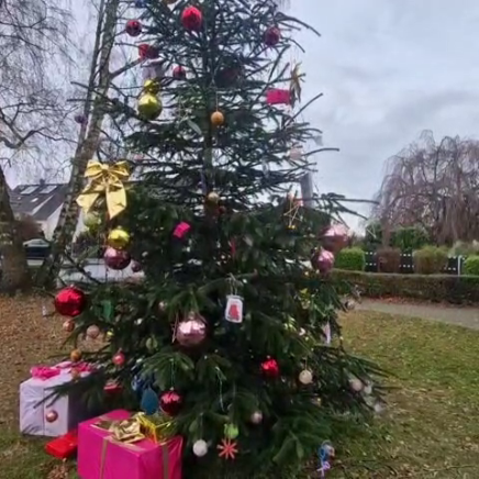 2025_WeihnachtsbaumSh