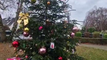 2025_WeihnachtsbaumSh